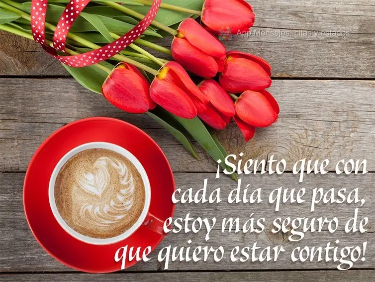 ¡Siento que con cada día que pasa, estoy más seguro de que quiero estar contigo!