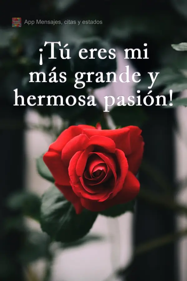 ¡Tú eres mi más grande y hermosa pasión!