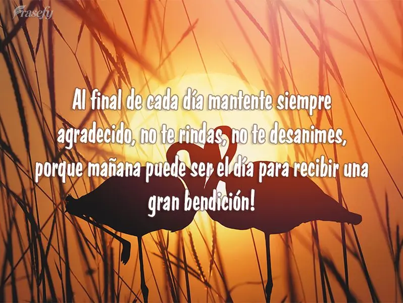 Ao final de cada dia mantenha-se sempre com gratidão, não desista, não desanime, porque amanhã pode ser o dia de receber uma grande bênção!