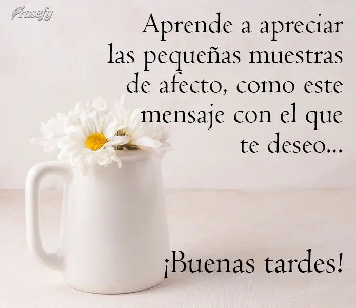 Aprende a apreciar las pequeñas muestras de afecto, como este mensaje con el que te deseo... ¡Buenas tardes!