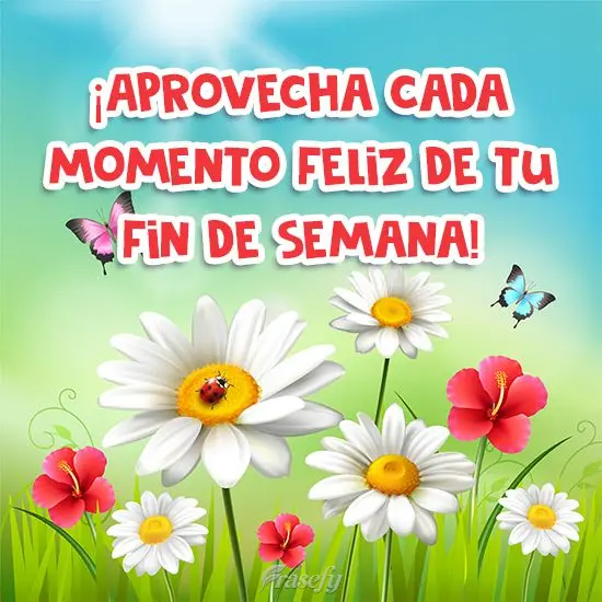 ¡Aprovecha cada momento feliz de tu fin de semana!