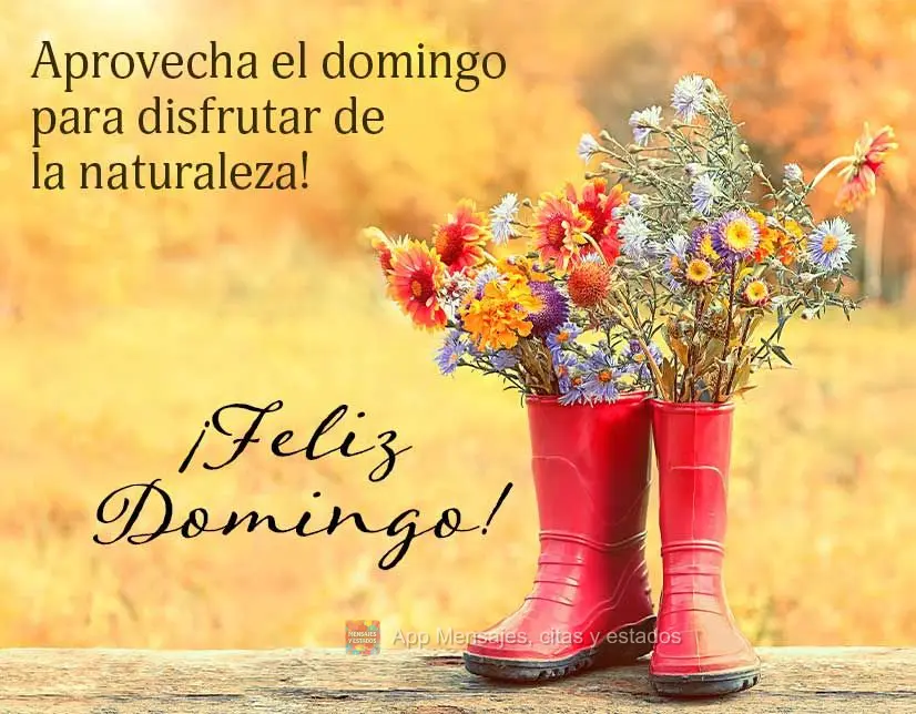 Aprovecha el domingo para disfrutar de la naturaleza! ¡Feliz domingo!