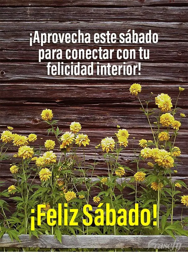 ¡Aprovecha este sábado para conectar con tu felicidad interior! ¡Feliz Sábado!