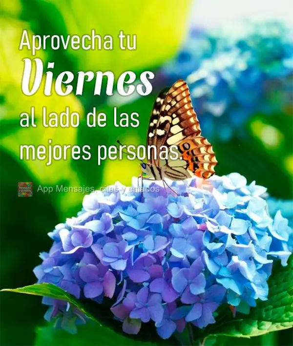 Aprovecha tu viernes al lado de las mejores personas.