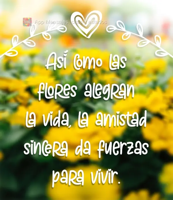 Así como las flores alegran la vida, la amistad sincera da fuerzas para vivir.