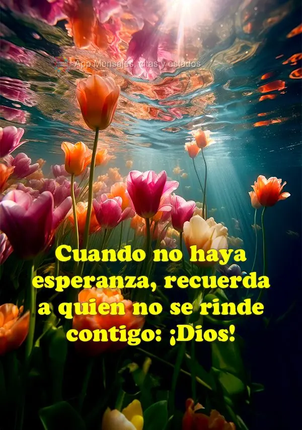 Cuando no haya esperanza, recuerda a quien no se rinde contigo: ¡Dios!
