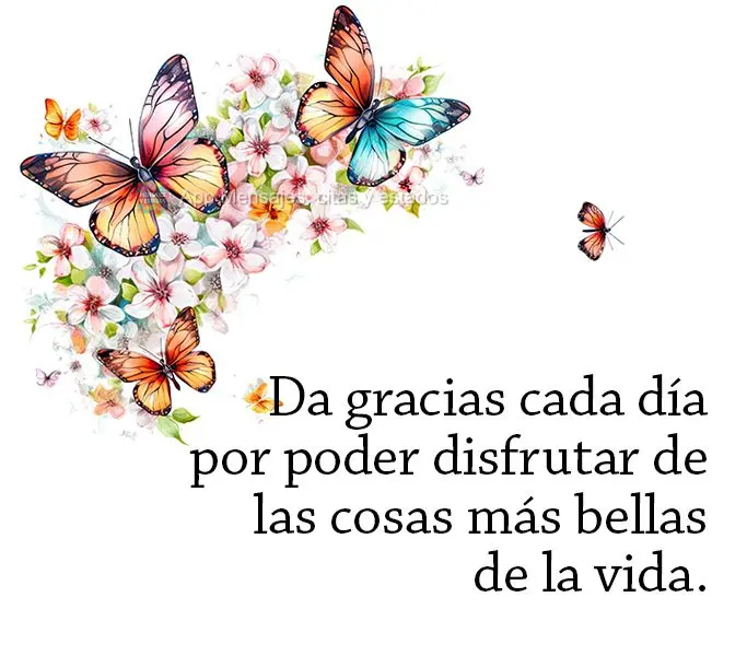 Da gracias cada día por poder disfrutar de las cosas más bellas de la vida.