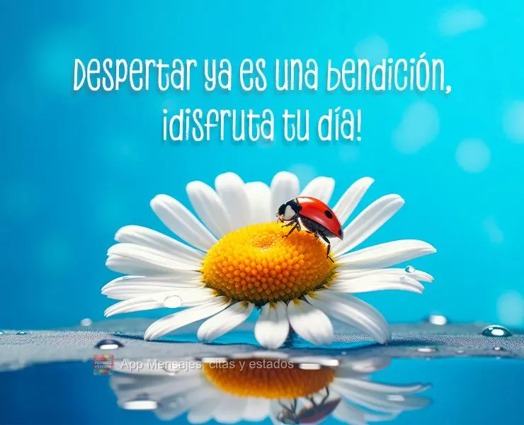Despertar ya es una bendición, ¡disfruta tu día!