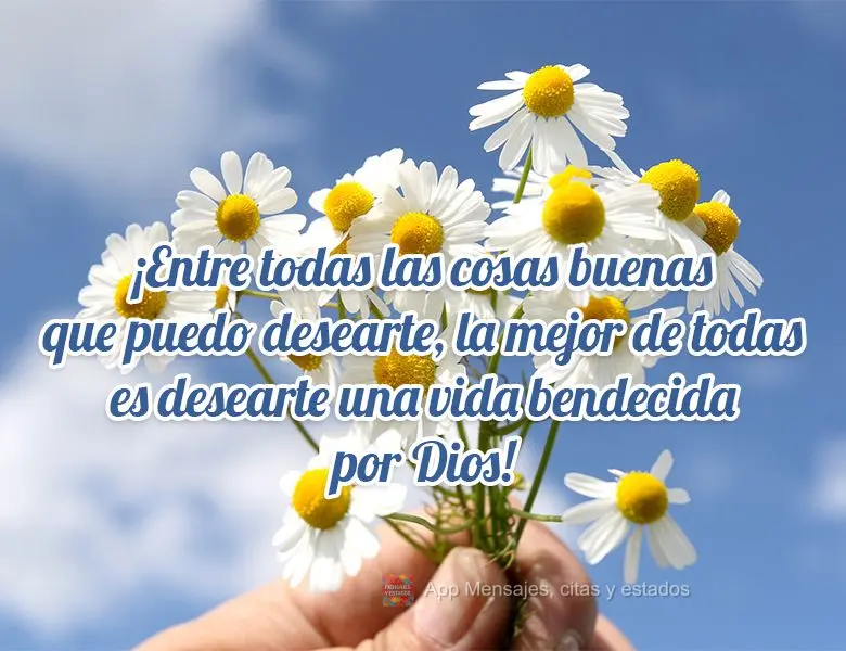¡Entre todas las cosas buenas que puedo desearte, la mejor de todas es desearte una vida bendecida por Dios!