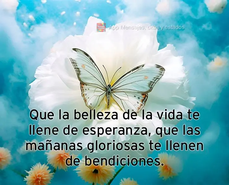 Que la belleza de la vida te llene de esperanza, que las mañanas gloriosas te llenen de bendiciones.