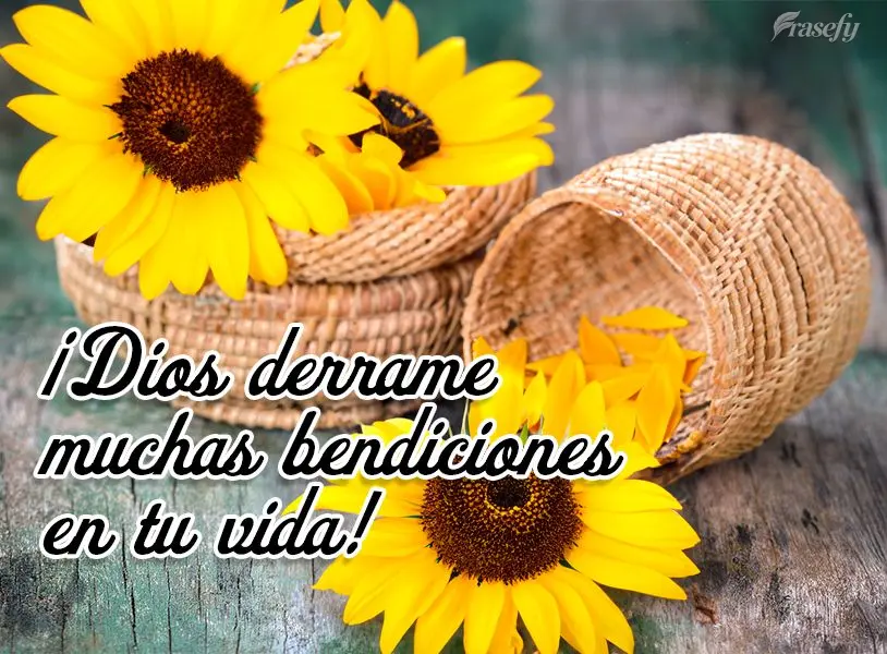 Que Deus derrame muitas bênçãos sobre sua vida!