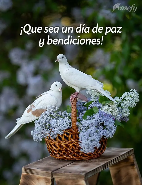 Que seja um dia de muita paz e bênçãos!