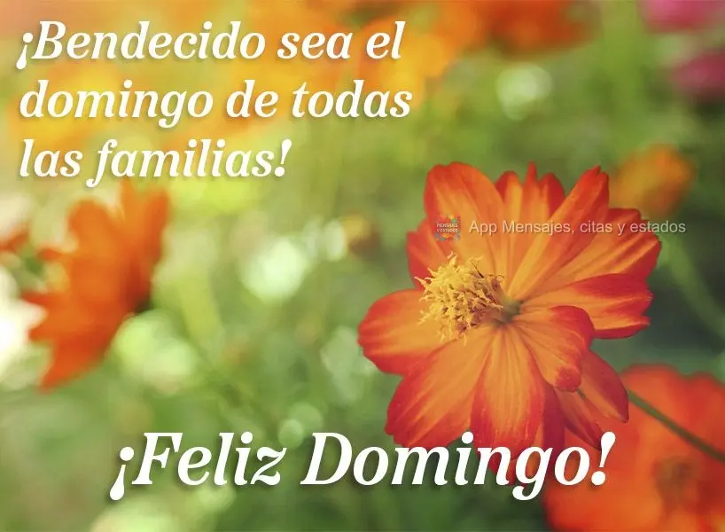 ¡Bendecido sea el domingo de todas las familias! ¡Feliz domingo!