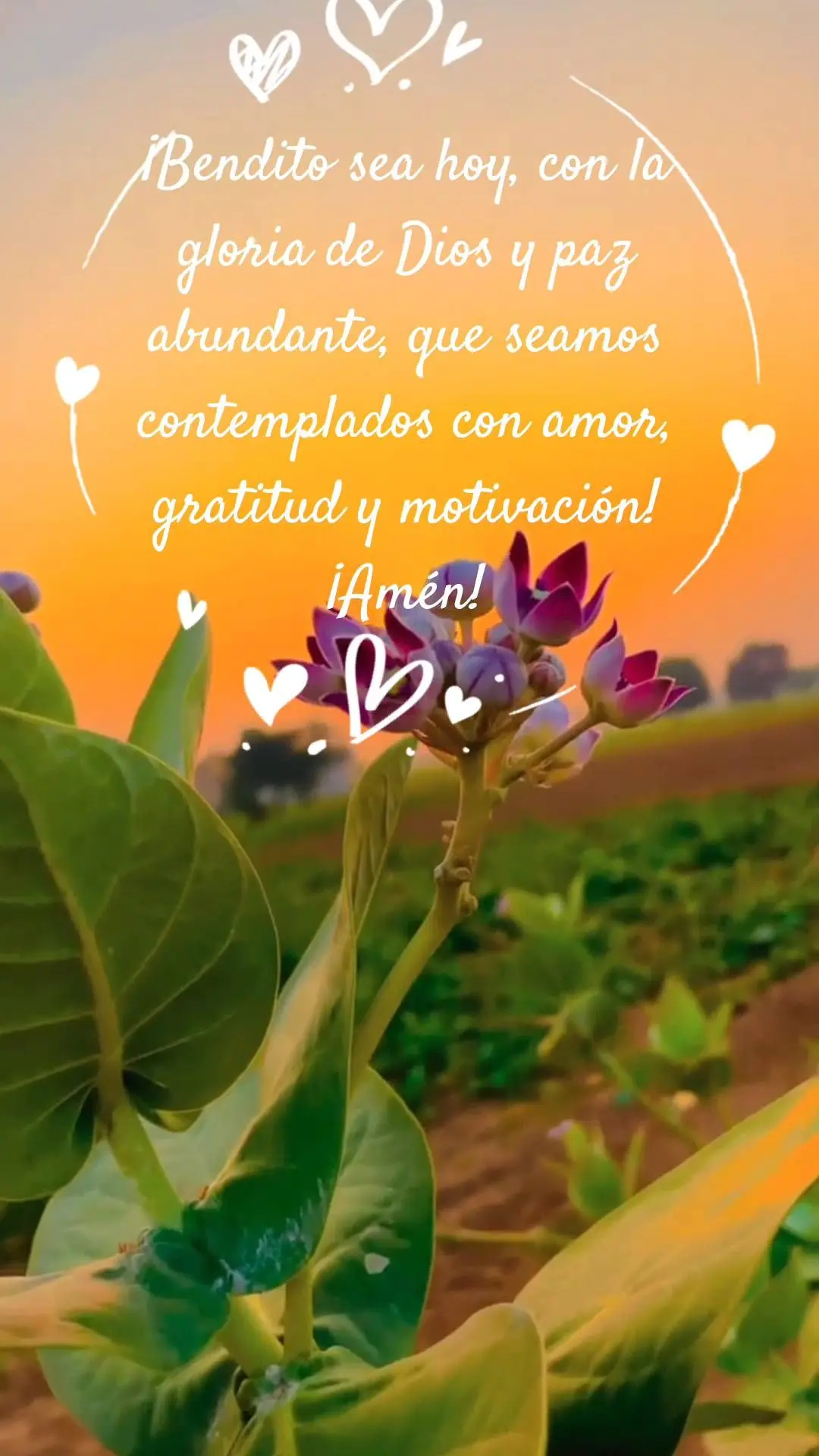 ¡Bendito sea hoy, con la gloria de Dios y paz abundante, que seamos contemplados con amor, gratitud y motivación!
¡Amén!