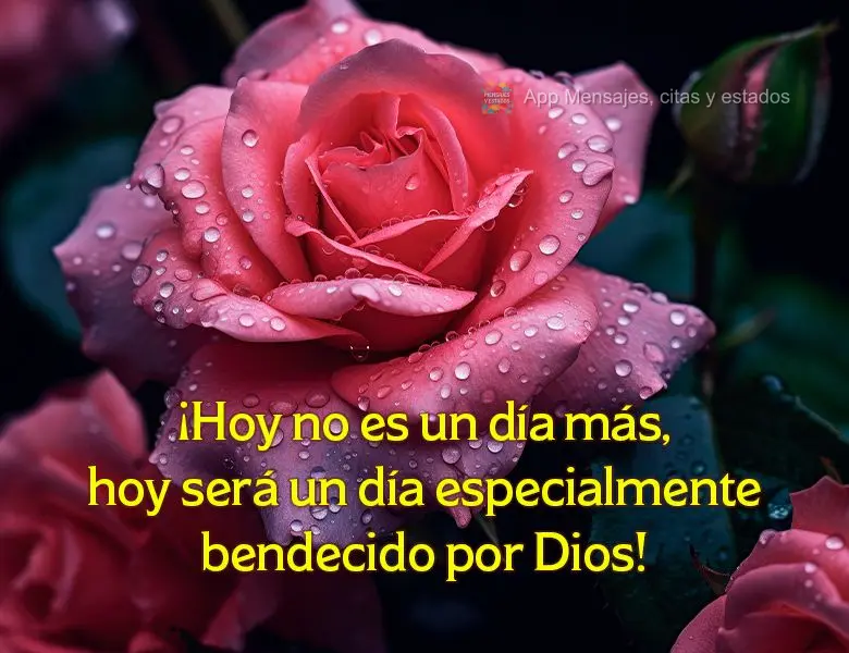 ¡Hoy no es un día más, hoy será un día especialmente bendecido por Dios!