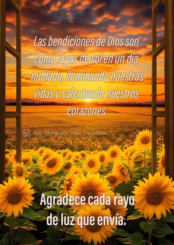 Las bendiciones de Dios son como rayos de sol en un día nublado, iluminando nuestras vidas y calentando nuestros corazones. Agradece cada rayo de luz qu...