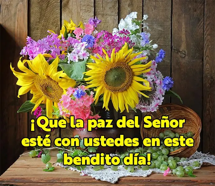 ¡Que la paz del Señor esté con ustedes en este bendito día!
