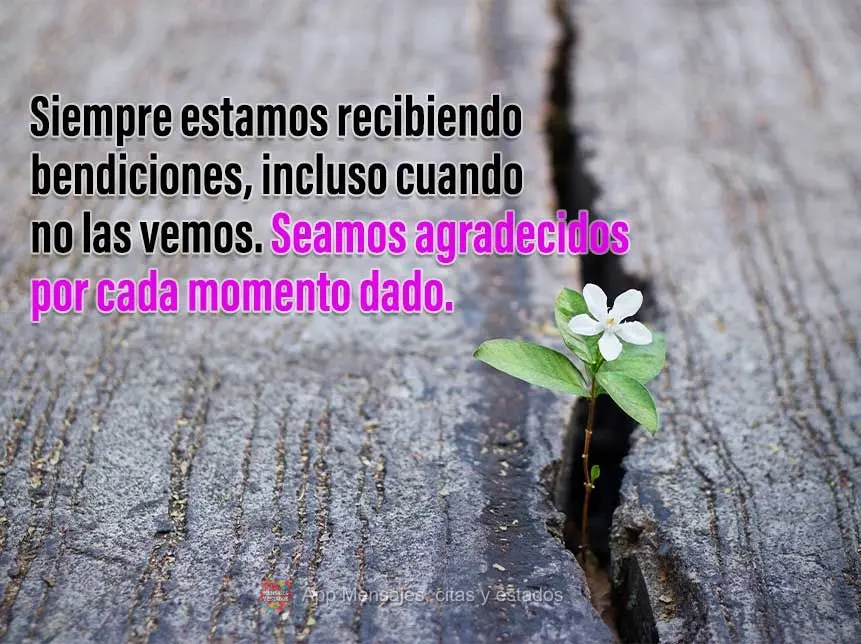 Siempre estamos recibiendo bendiciones, incluso cuando no las vemos. Seamos agradecidos por cada momento dado.