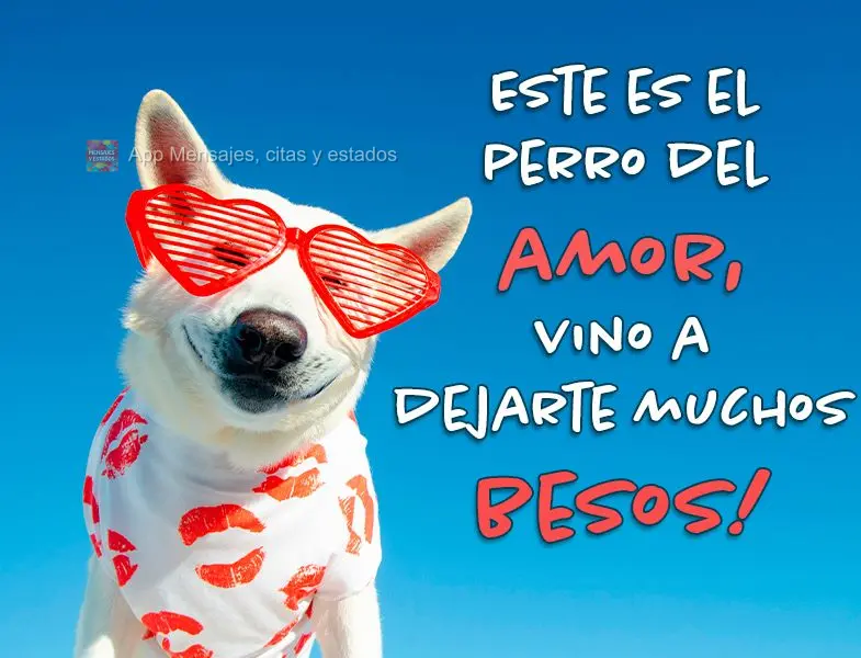 Este es el perro del amor, vino a dejarte muchos besos!