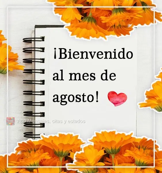 ¡Bienvenido al mes de agosto!