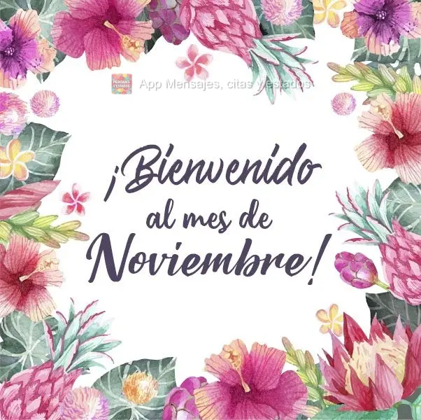 ¡Bienvenido al mes de noviembre!