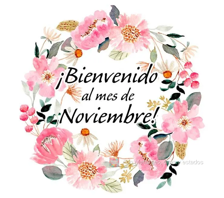 ¡Bienvenido al mes de noviembre!