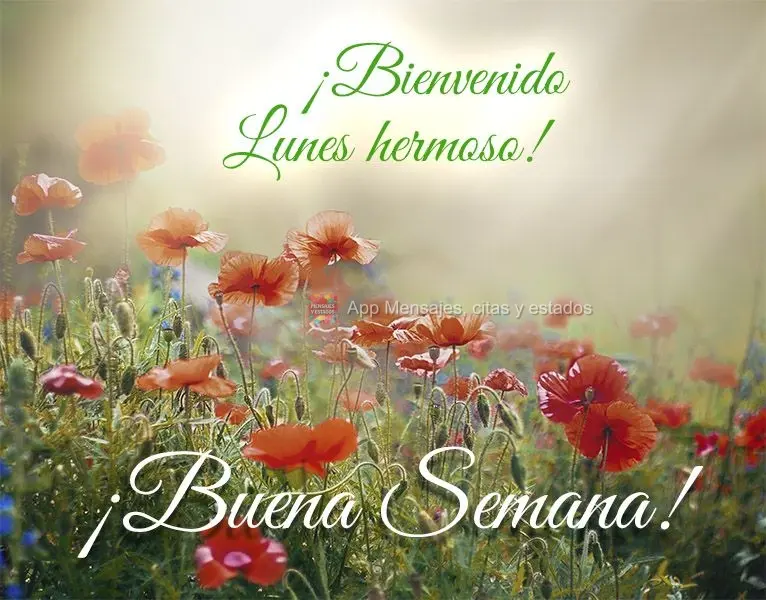 ¡Bienvenido lunes hermoso! ¡Buena semana!