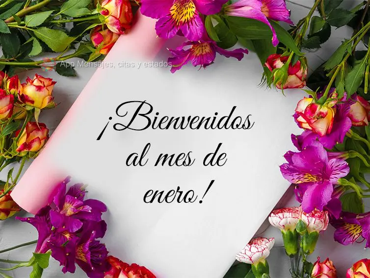 ¡Bienvenidos al mes de enero!