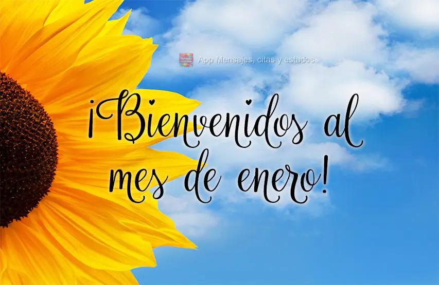¡Bienvenidos al mes de enero!