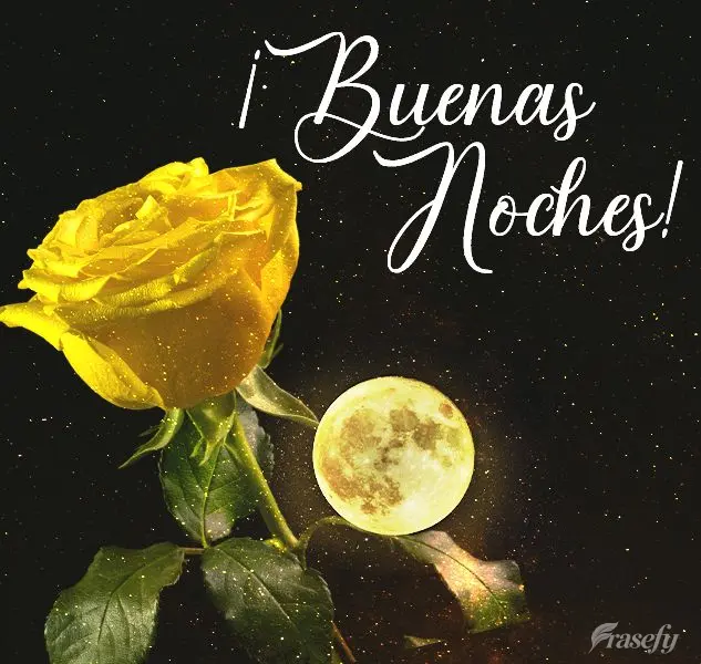 Boa noite!