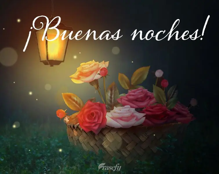 Boa noite!