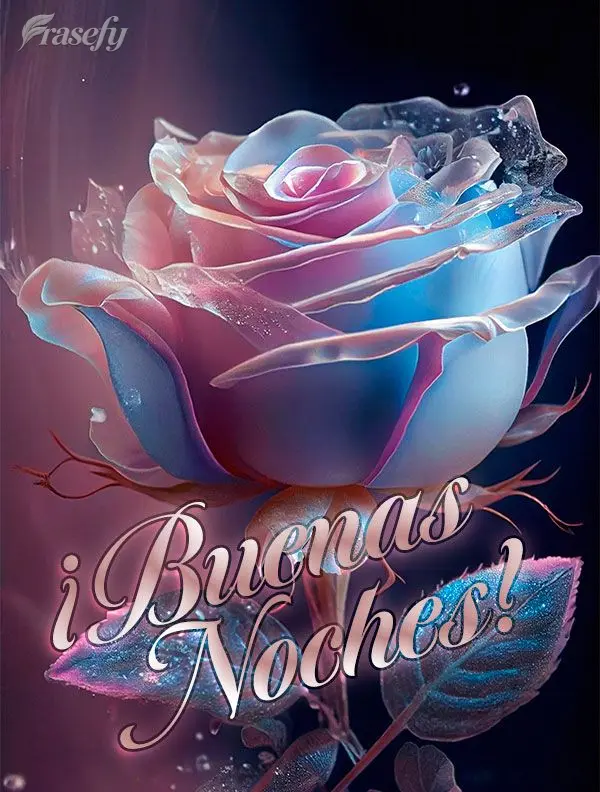 Boa noite!
