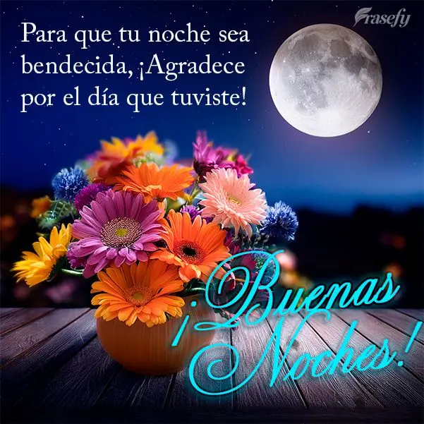 Para que sua noite seja abençoada agradeça pelo dia vivido! Boa noite!