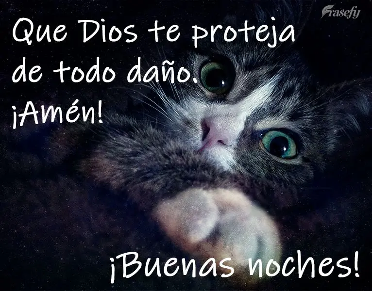 Que Deus te proteja de todo mal. Amém!
 Boa Noite!