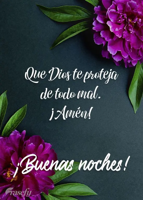 Que Deus te proteja de todo mal. Amém  Boa noite!