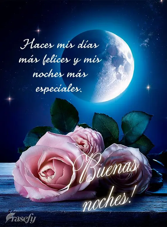Você torna meus dias mais felizes e minhas noites mais especiais. Boa noite!
