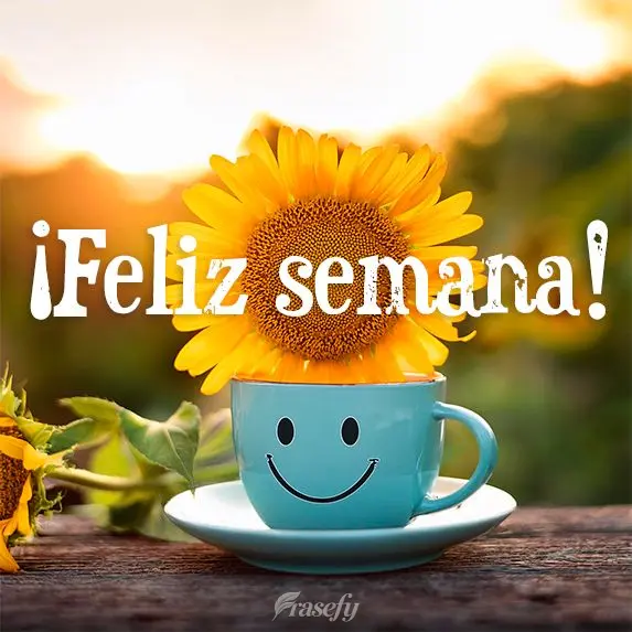 Boa Semana!