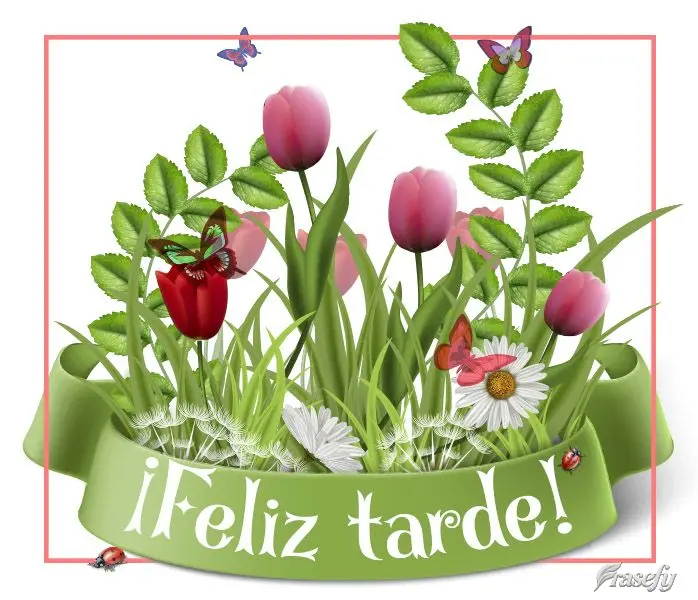 Boa tarde!