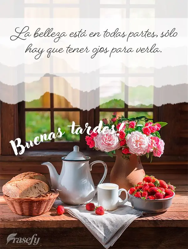 A beleza está em todos os lugares, basta ter olhos para enxergá-la. 