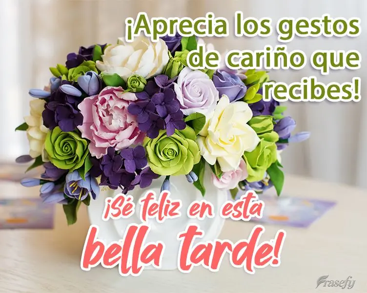 Admire gestos de carinho que lhe é oferecido!  Seja feliz nesta linda Tarde!