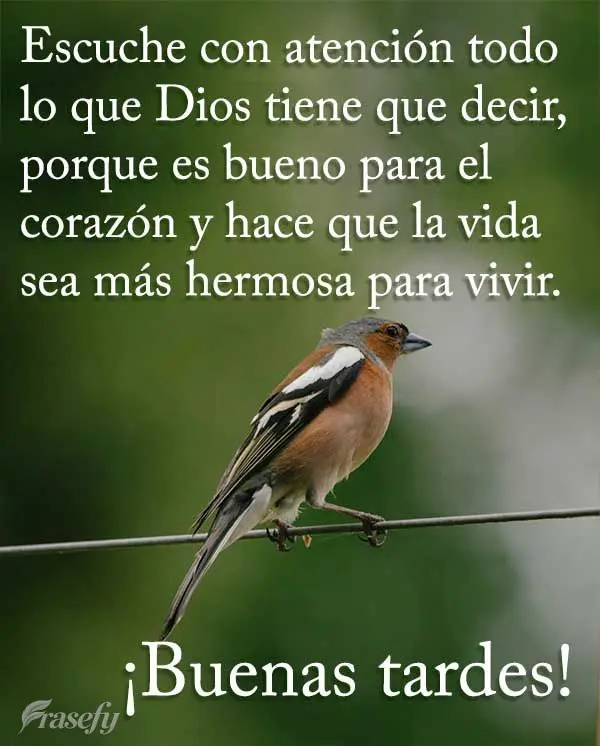 Ouça com atenção tudo aquilo que Deus tem pra dizer, porque faz bem ao coração, e faz da vida mais bonita de se viver! Boa tarde!