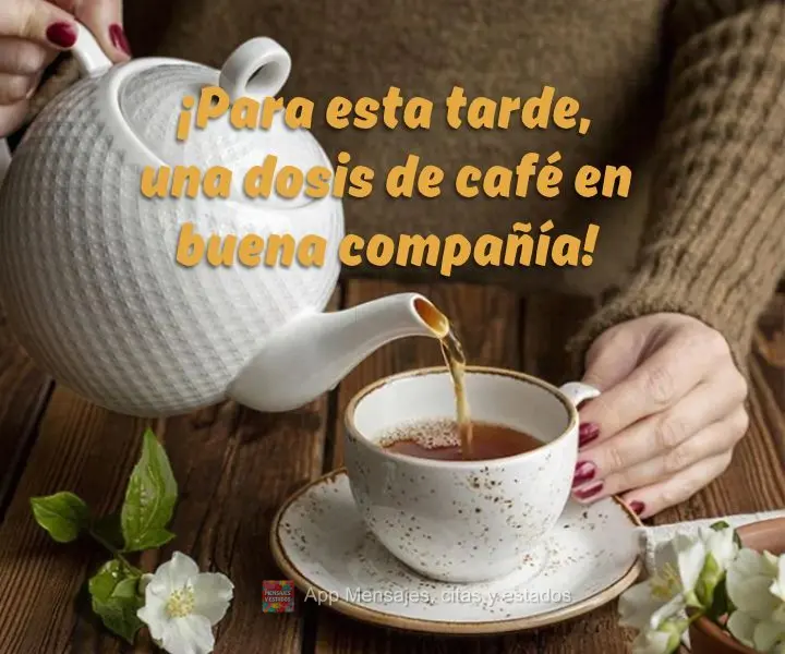 Para está tarde um dose de café em boa companhia!
