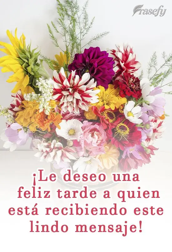 Pra você que está recebendo essa linda mensagem, desejo uma Feliz Tarde!

