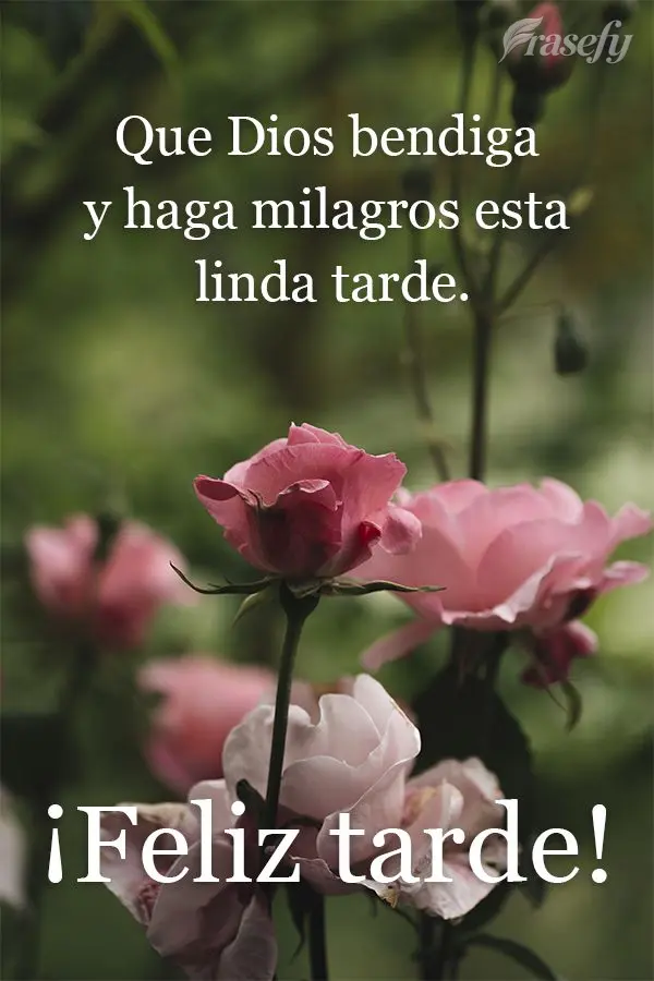 Que Deus abençoe e faça milagres nesta linda tarde!  Boa tarde!