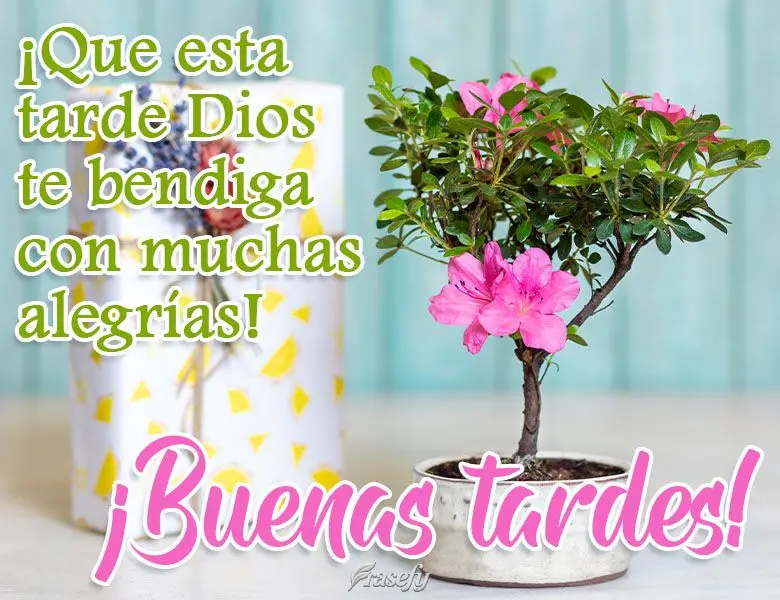 Que nesta tarde Deus te abençoe com muitas alegrias!  Boa tarde!