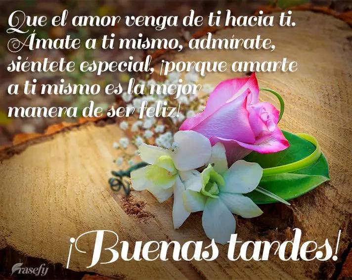 Que o amor venha de você para você. Se ame, se admire, se sinta especial, porque amar a si próprio é a melhor forma de ser feliz! Boa tarde!