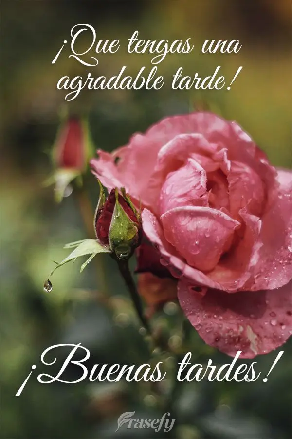 Que você tenha uma tarde agradável! Boa tarde!