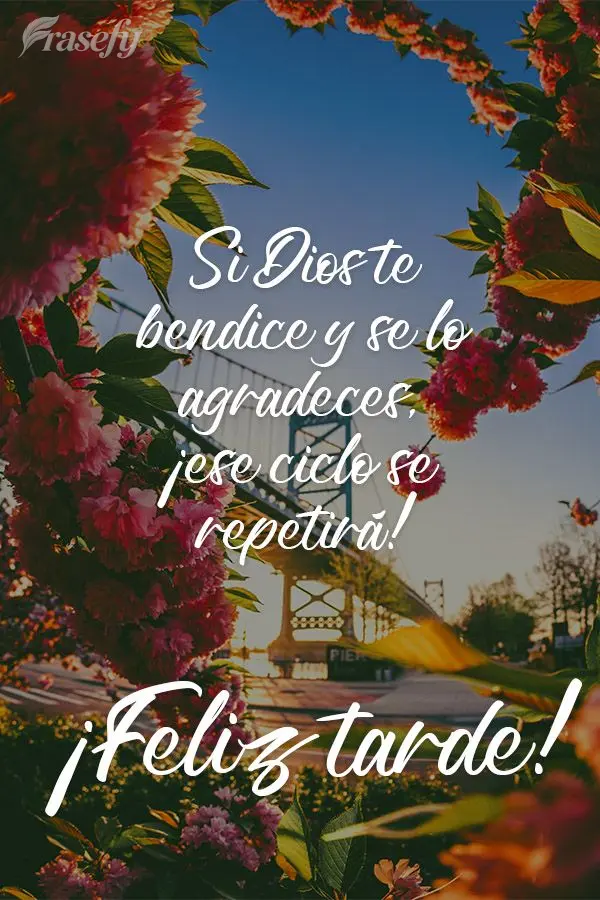 Se Deus te abençoar e você agradecer, esse ciclo se repetirá!  Boa tarde!