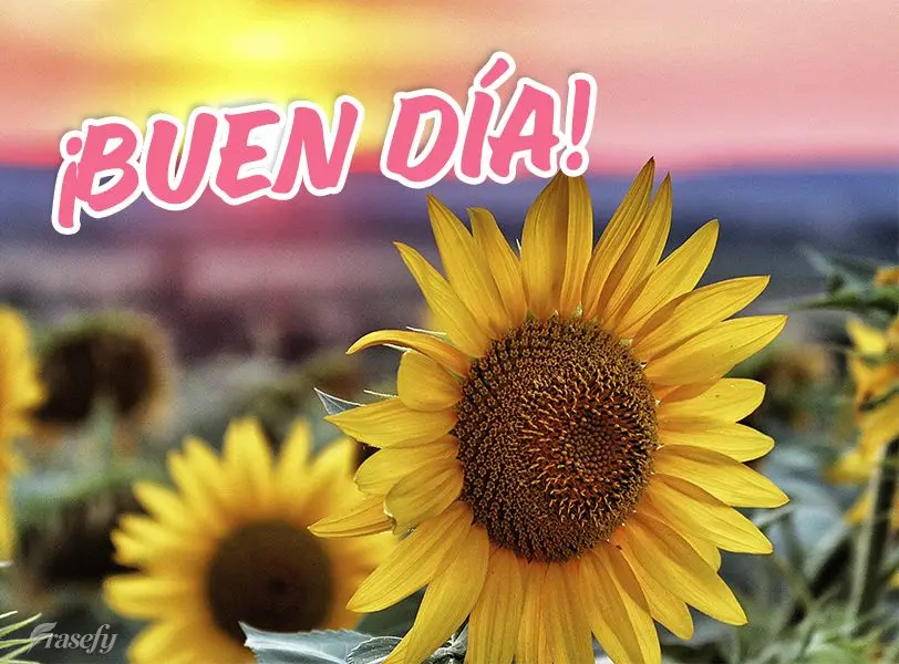 Bom dia!
