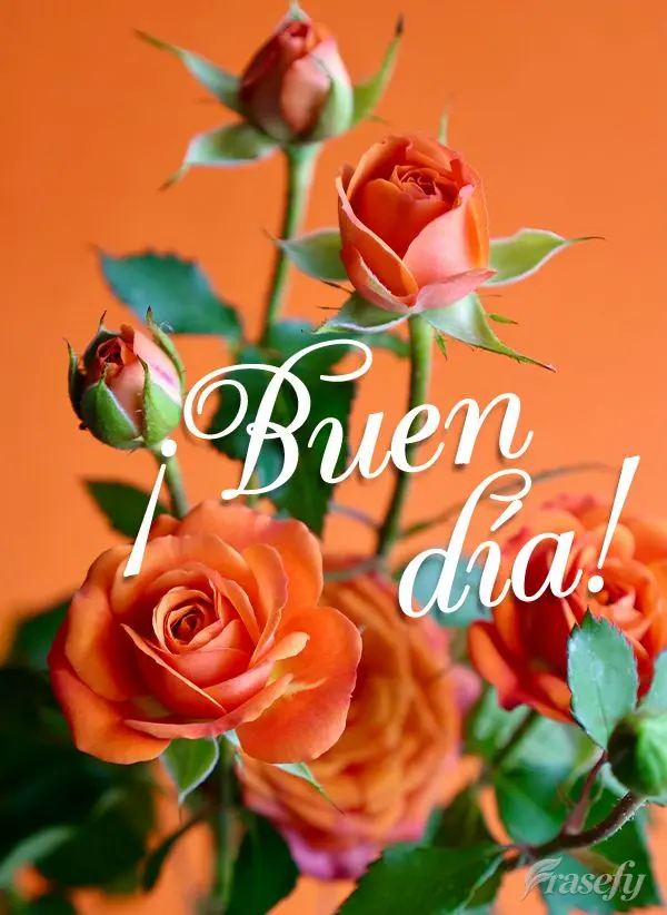 Bom dia!